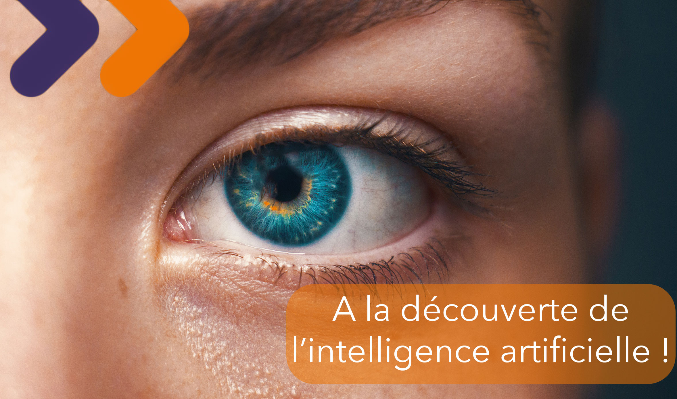 Intelligence artificielle